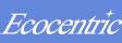 Ecocentric Text Logo Image